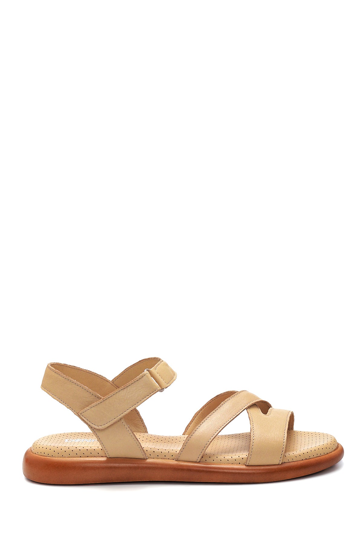 Bej